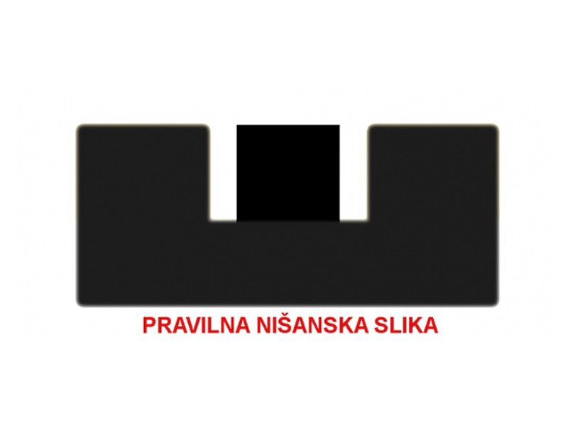 pravilna-nisanska-linija